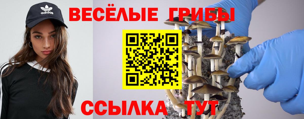 Псилоцибиновые грибы Cubensis  Галлюциногенные грибы Psilocybine cubensis  Новокубанск  Вход с VPN 